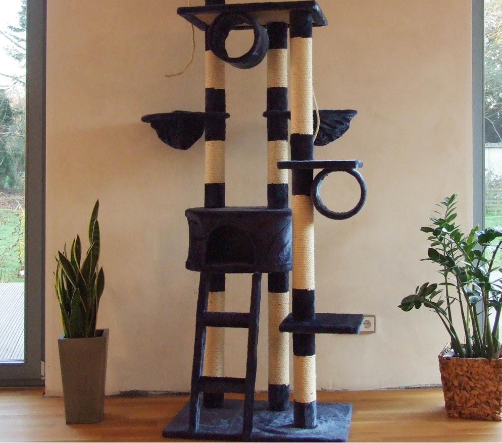 arbre a chat pas cher pour maine coon